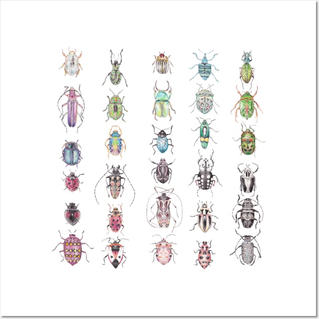 Beetles in a rainbow of colors Wall Art by wanderinglaur